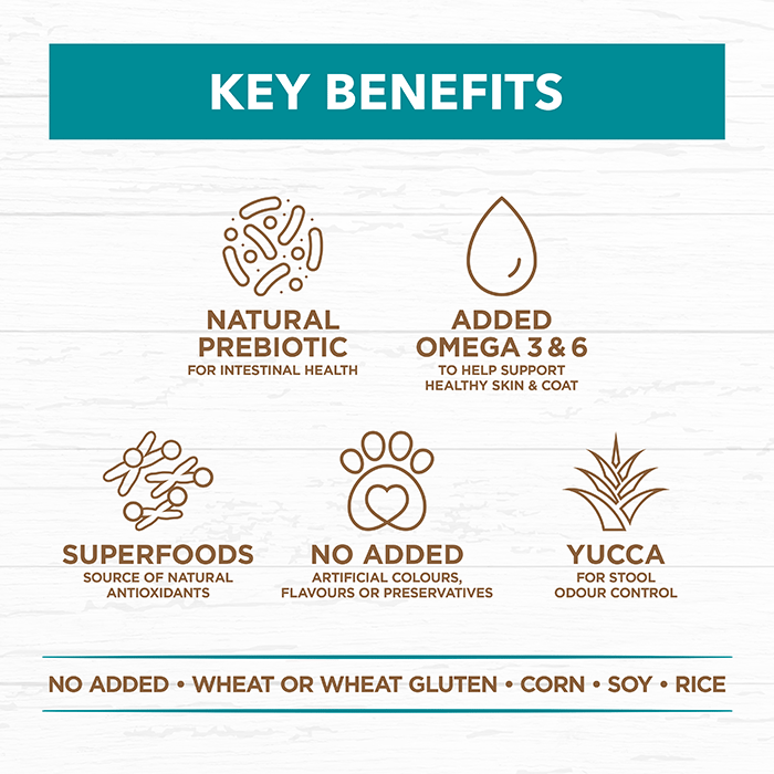 Ivory Coat – Adult Dog – GRAIN FREE – Salmon & Ocean Fish