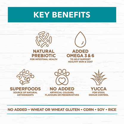 Ivory Coat – Adult Dog – GRAIN FREE – Salmon & Ocean Fish