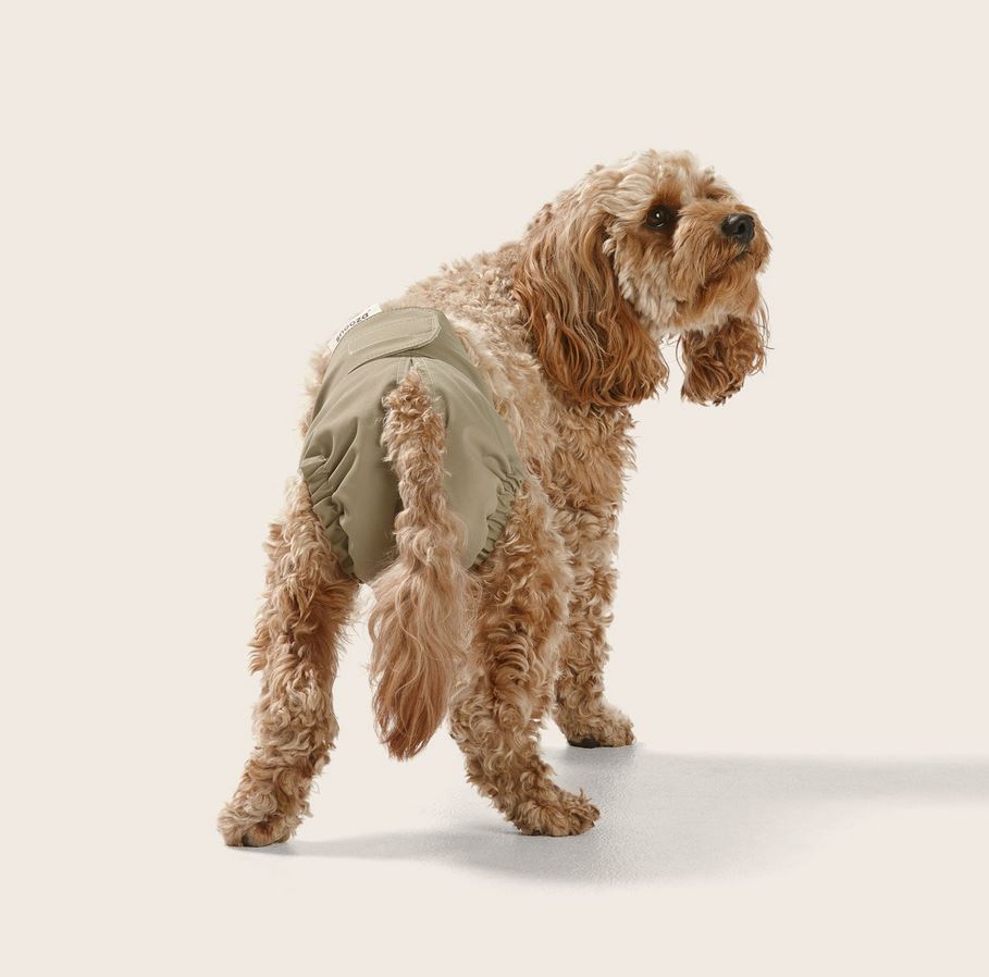 Snooza Washable Dog Nappy – Twin Pack for Female Dogs