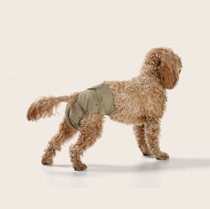 Snooza Washable Dog Nappy – Twin Pack for Female Dogs