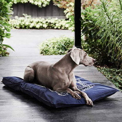 Snooza – Organic Pet Futon – Blue