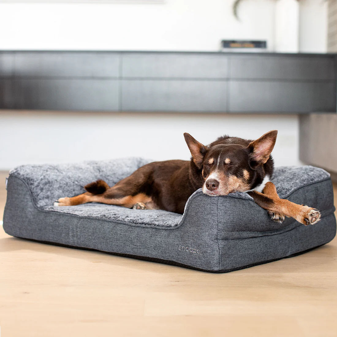 Snooza – Ortho Dream Sofa – Chinchilla