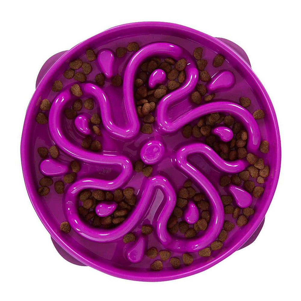 Outward Hound – Fun Feeder Slo Bowl – Mini