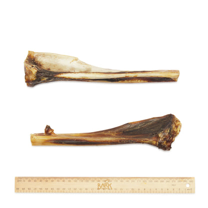 Bark & Beyond – Kangaroo Teeth Cleanser Bone