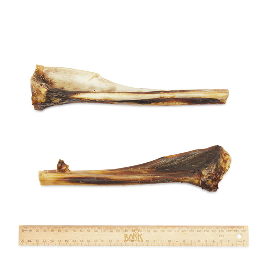 Bark & Beyond – Kangaroo Teeth Cleanser Bone