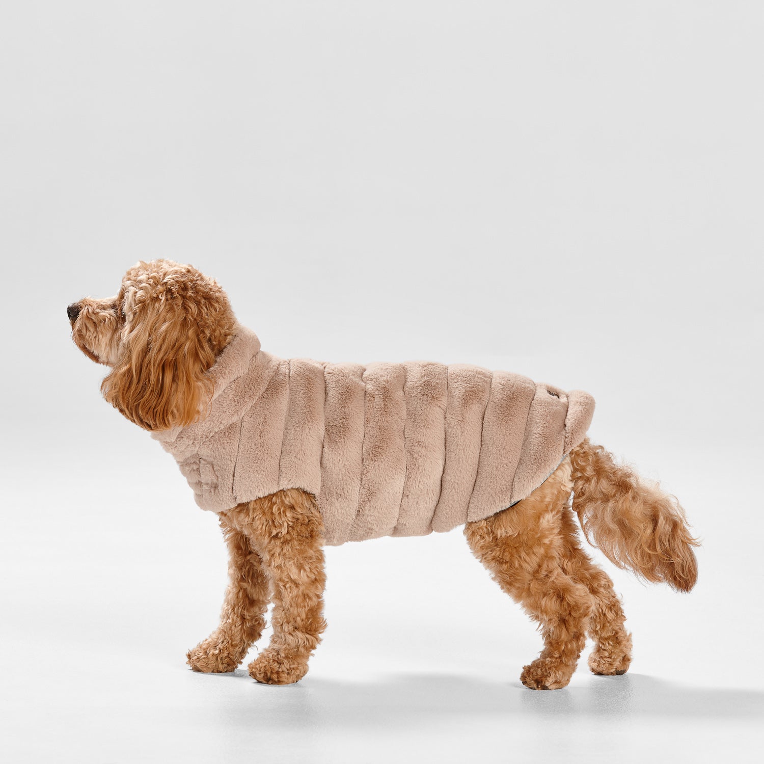 Faux fur with soft velvet suede lining coat for dogs
