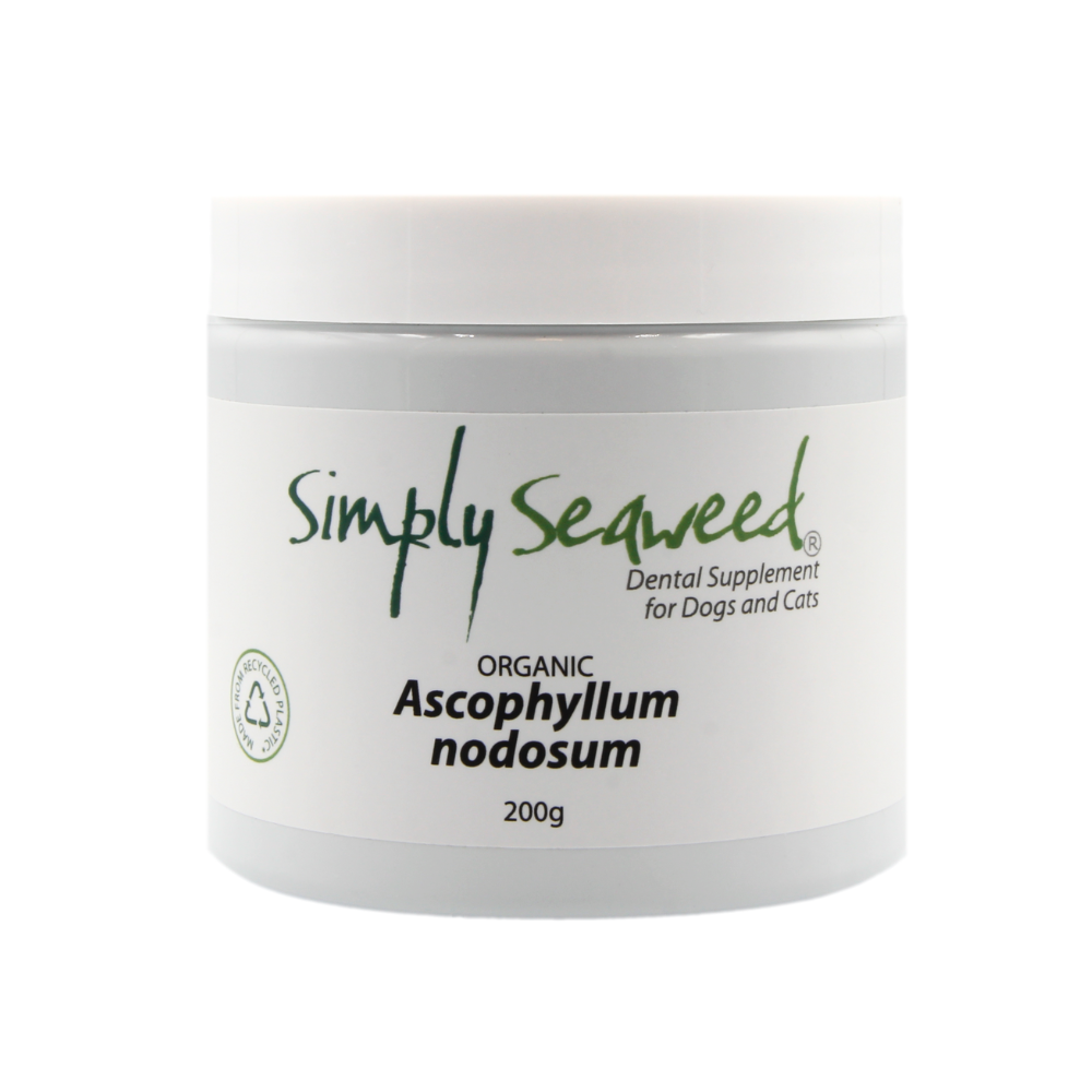 Simply Seaweed – Dental Supplement