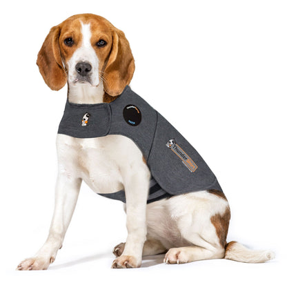 ThunderShirt to calm fear, over-excitement, and anxiety from thunderstorms and fireworks