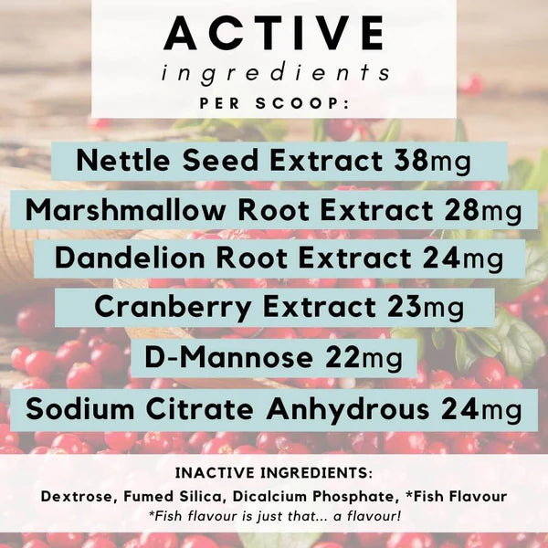 PetzPark – Urinary + Kidney Supplement For Cats