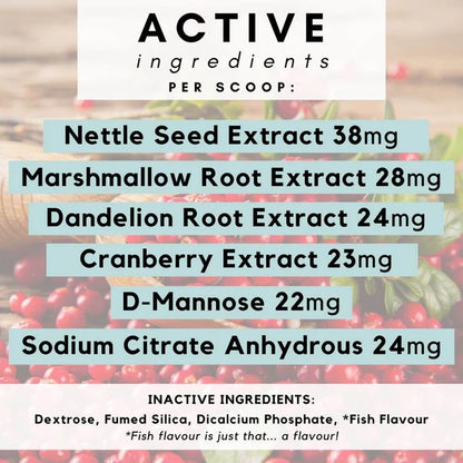 PetzPark – Urinary + Kidney Supplement For Cats