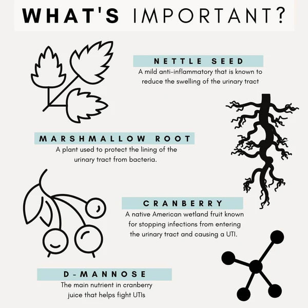 PetzPark – Urinary + Kidney Supplement For Cats