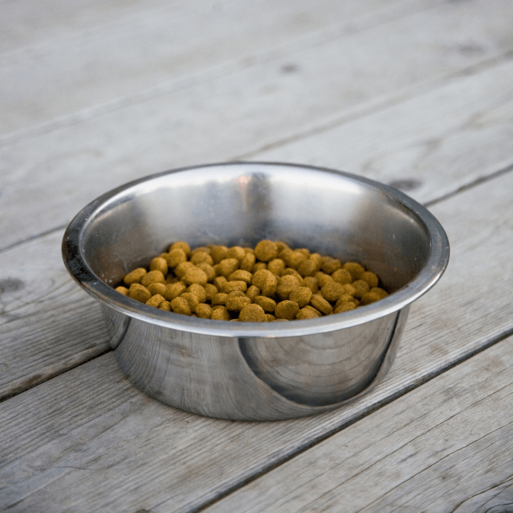 Stainless steel pet bowl with dog kibble on a wooden floor