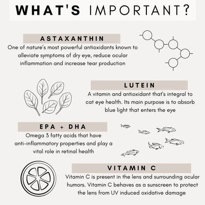 PetzPark – Eye Support – For Cats