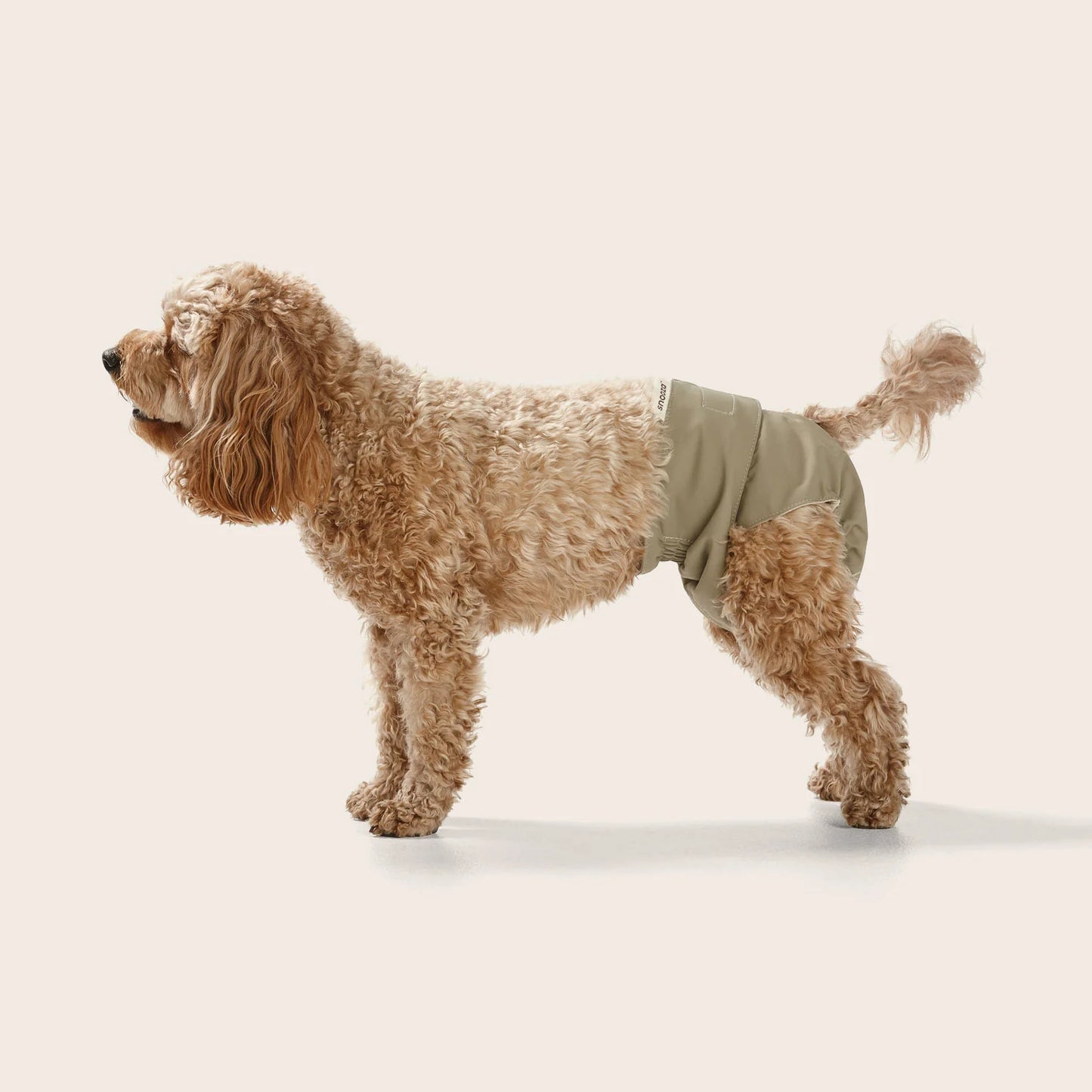 Snooza Washable Dog Nappy – Twin Pack for Female Dogs