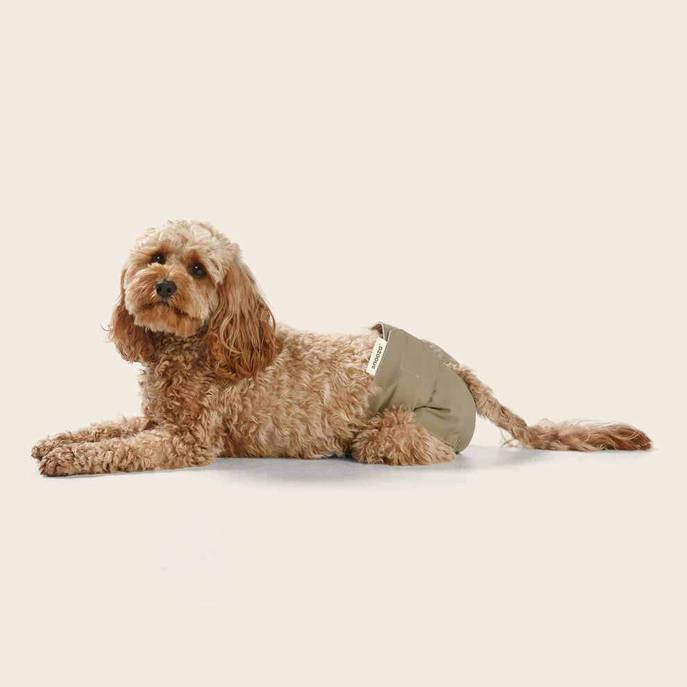 Snooza Washable Dog Nappy – Twin Pack for Female Dogs