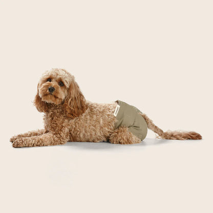 Snooza Washable Dog Nappy – Twin Pack for Female Dogs