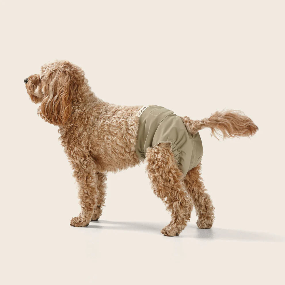 Snooza Washable Dog Nappy – Twin Pack for Female Dogs