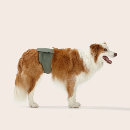 Snooza Washable Dog Nappy Band – Twin Pack for Male Dogs