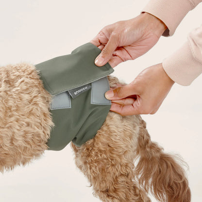 Snooza Washable Dog Nappy Band – Twin Pack for Male Dogs