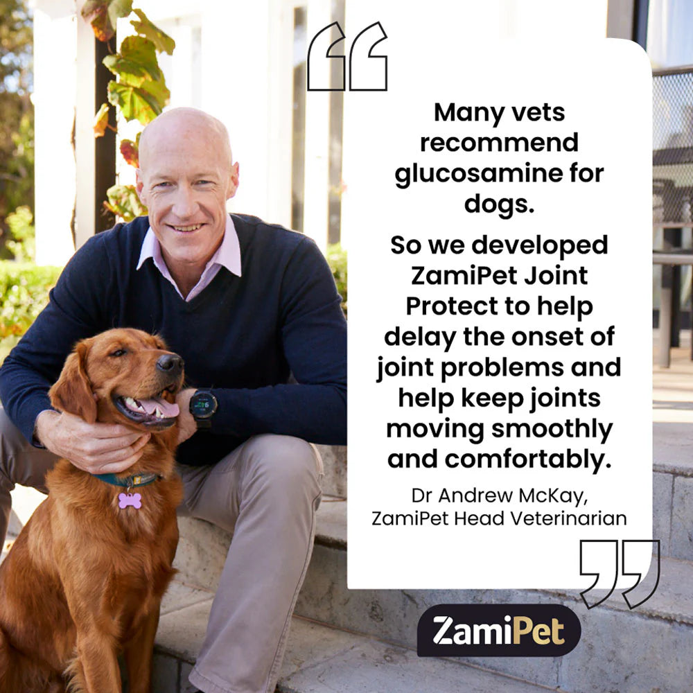 ZamiPet – Joint Protect