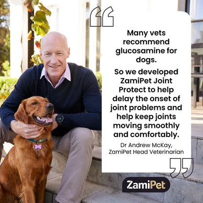 ZamiPet – Joint Protect