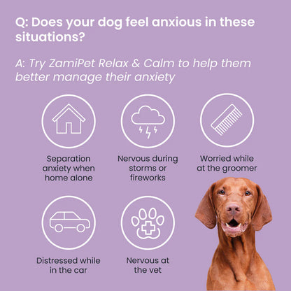 ZamiPet – Relax & Calm