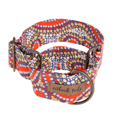Martingale Collar - Snake Dreaming