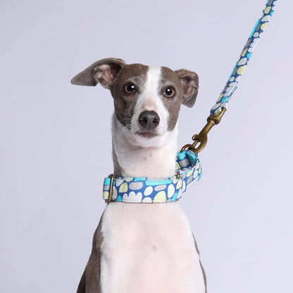 Martingale Collar - Puli Puli (Blue)