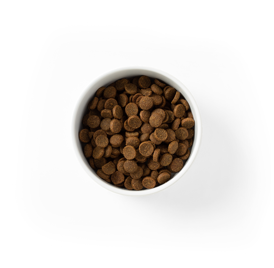 SavourLife Essentials Adult Dog Food – Australian Beef