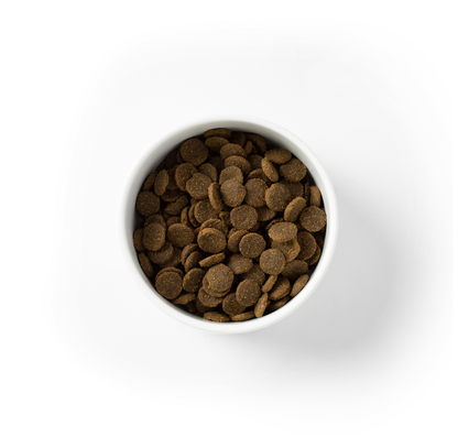 SavourLife GRAIN FREE Adult Dog Food for Large Breeds – Australian Ocean Fish & Salmon