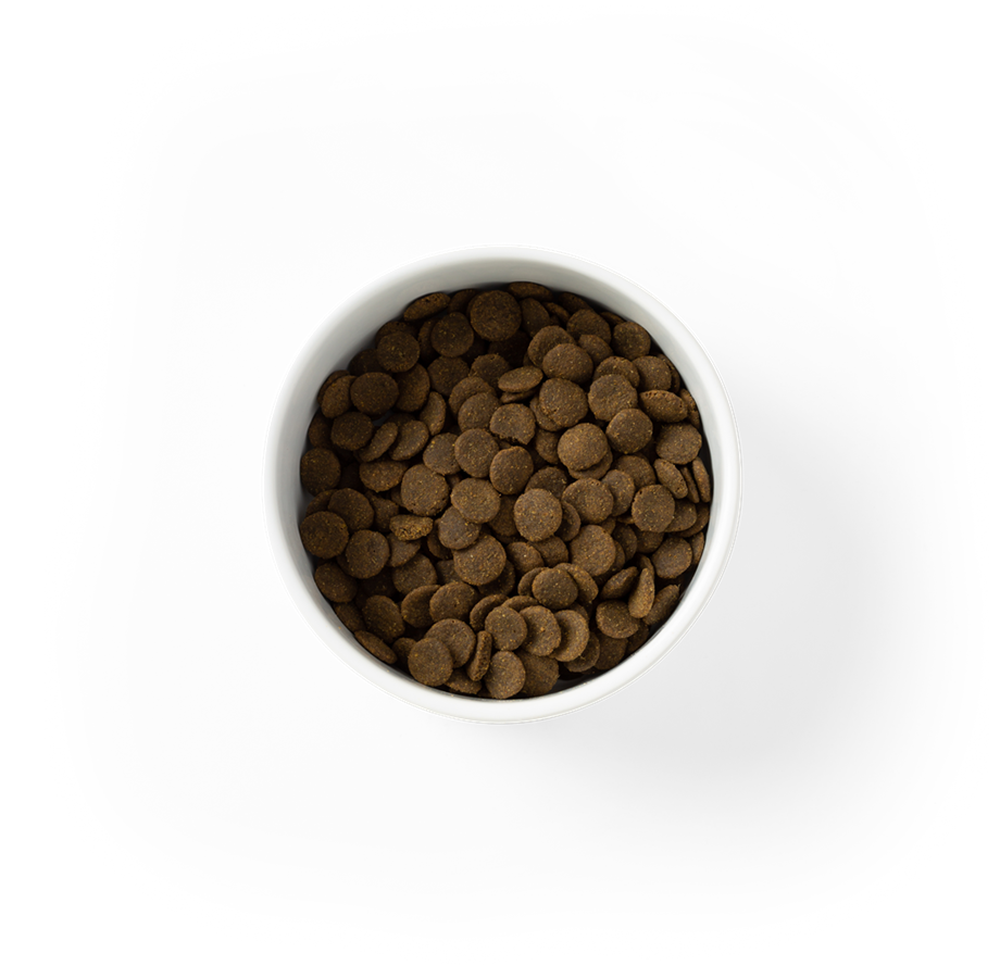 SavourLife GRAIN FREE Adult Dog Food – Australian Salmon