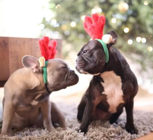 Zippy Paws – Christmas Antlers Headband