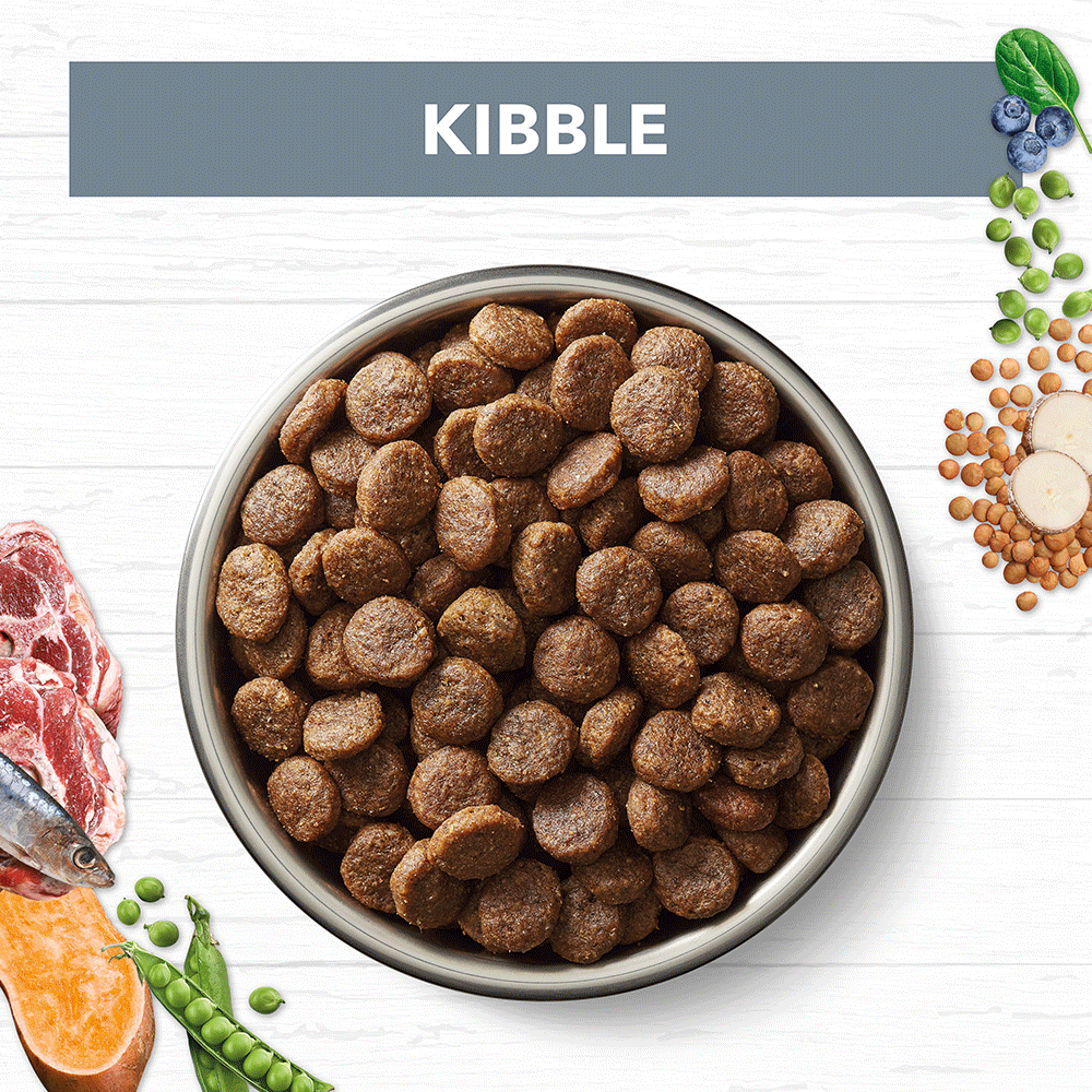 Ivory Coat – Adult Dog – GRAIN FREE – Lamb & Sardine