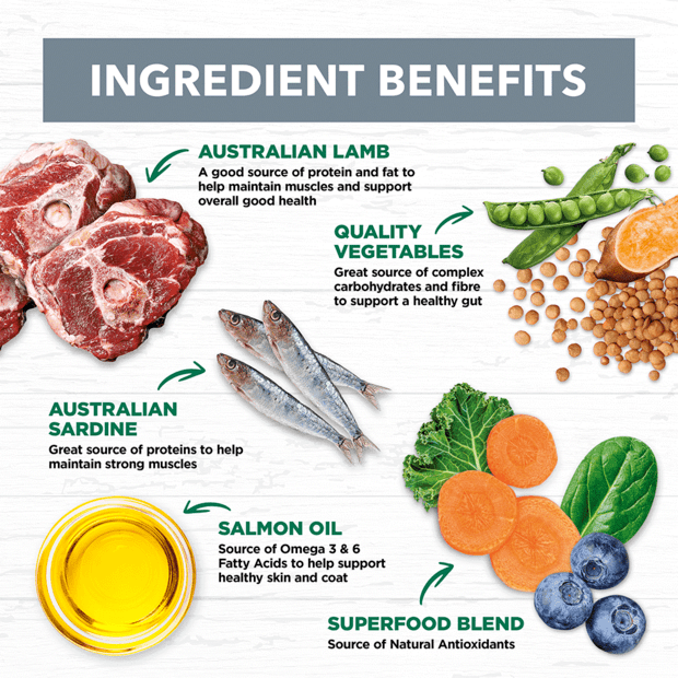 Ivory Coat – Adult Dog – GRAIN FREE – Lamb & Sardine