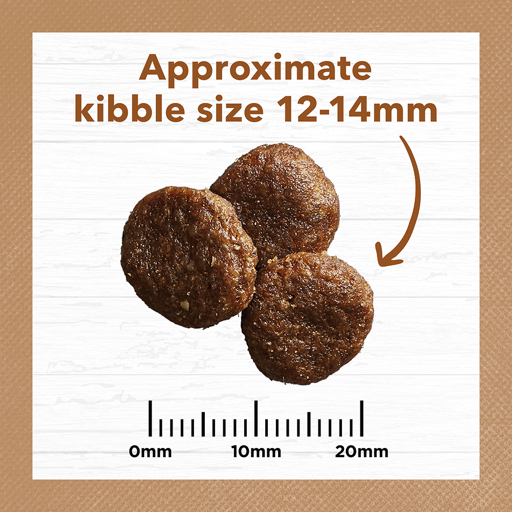 Ivory Coat – Adult Dog – GRAIN FREE – Lamb & Kangaroo