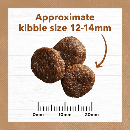 Ivory Coat – Adult Dog – GRAIN FREE – Lamb & Kangaroo