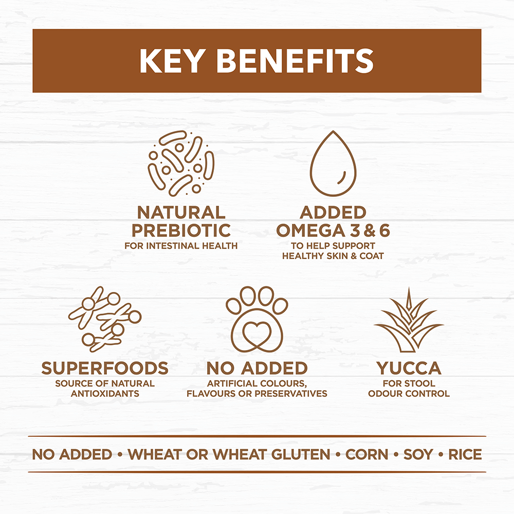 Ivory Coat – Adult Dog – GRAIN FREE – Lamb & Kangaroo