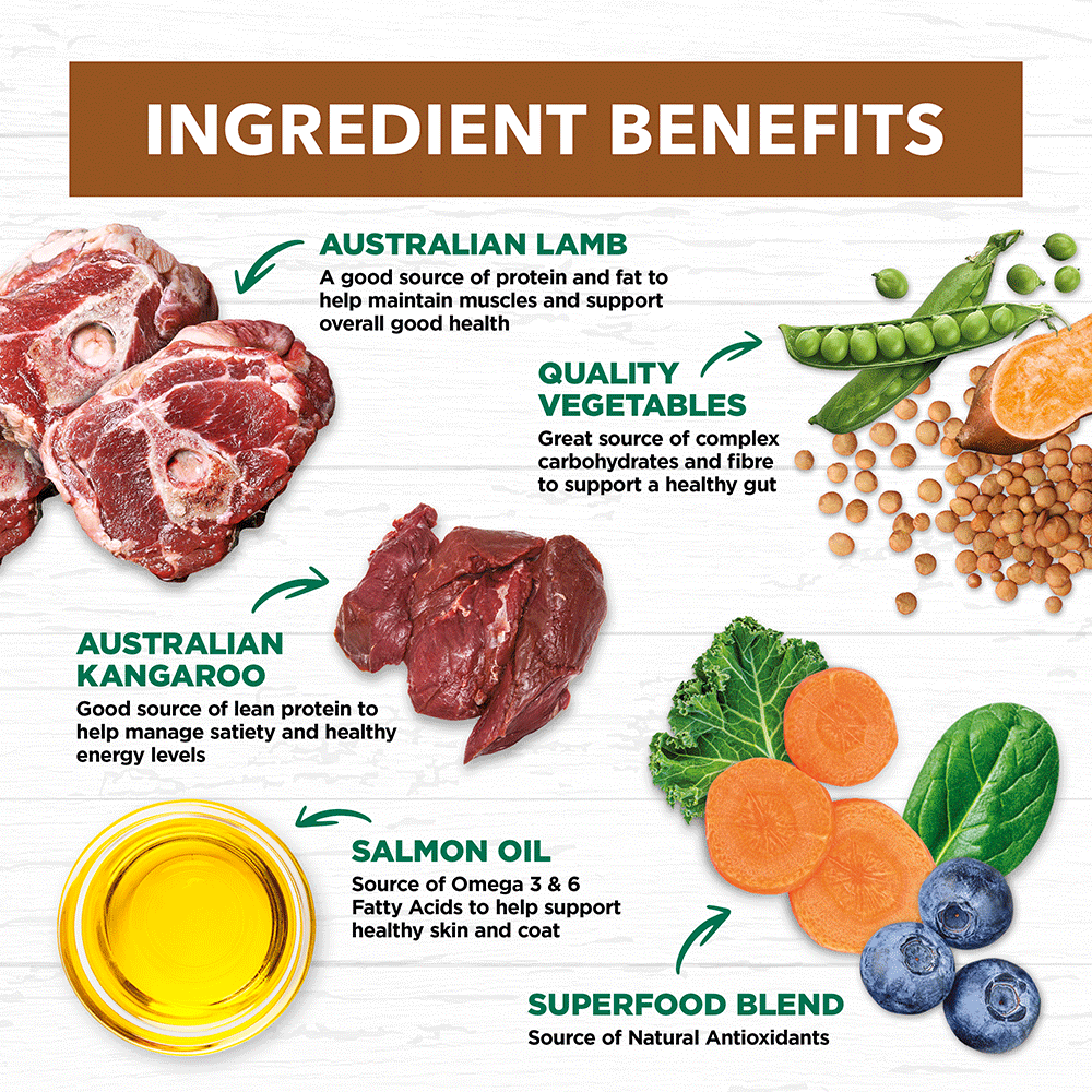 Ivory Coat – Adult Dog – GRAIN FREE – Lamb & Kangaroo