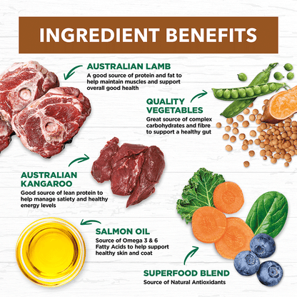 Ivory Coat – Adult Dog – GRAIN FREE – Lamb & Kangaroo