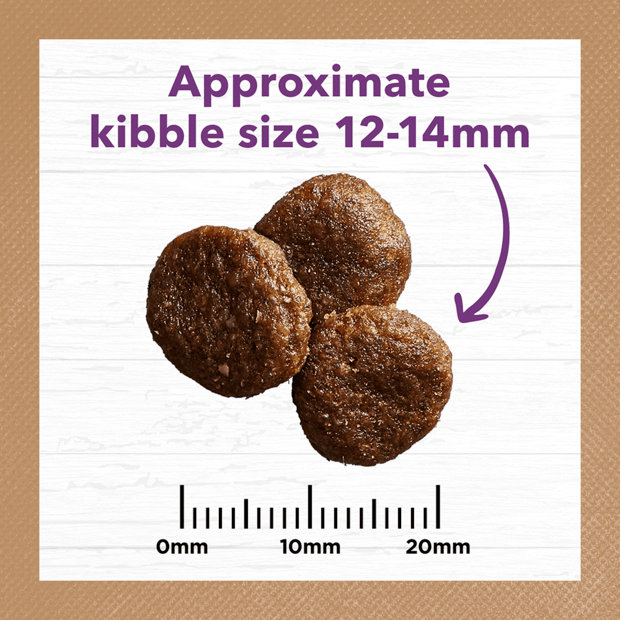 Ivory Coat – Mature Dog – GRAIN FREE – Turkey