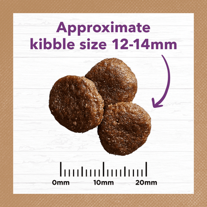 Ivory Coat – Mature Dog – GRAIN FREE – Turkey