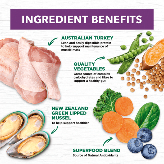 Ivory Coat – Mature Dog – GRAIN FREE – Turkey