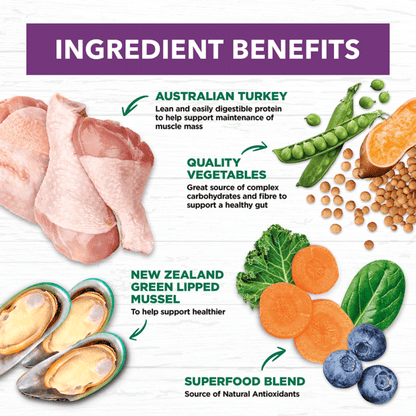 Ivory Coat – Mature Dog – GRAIN FREE – Turkey