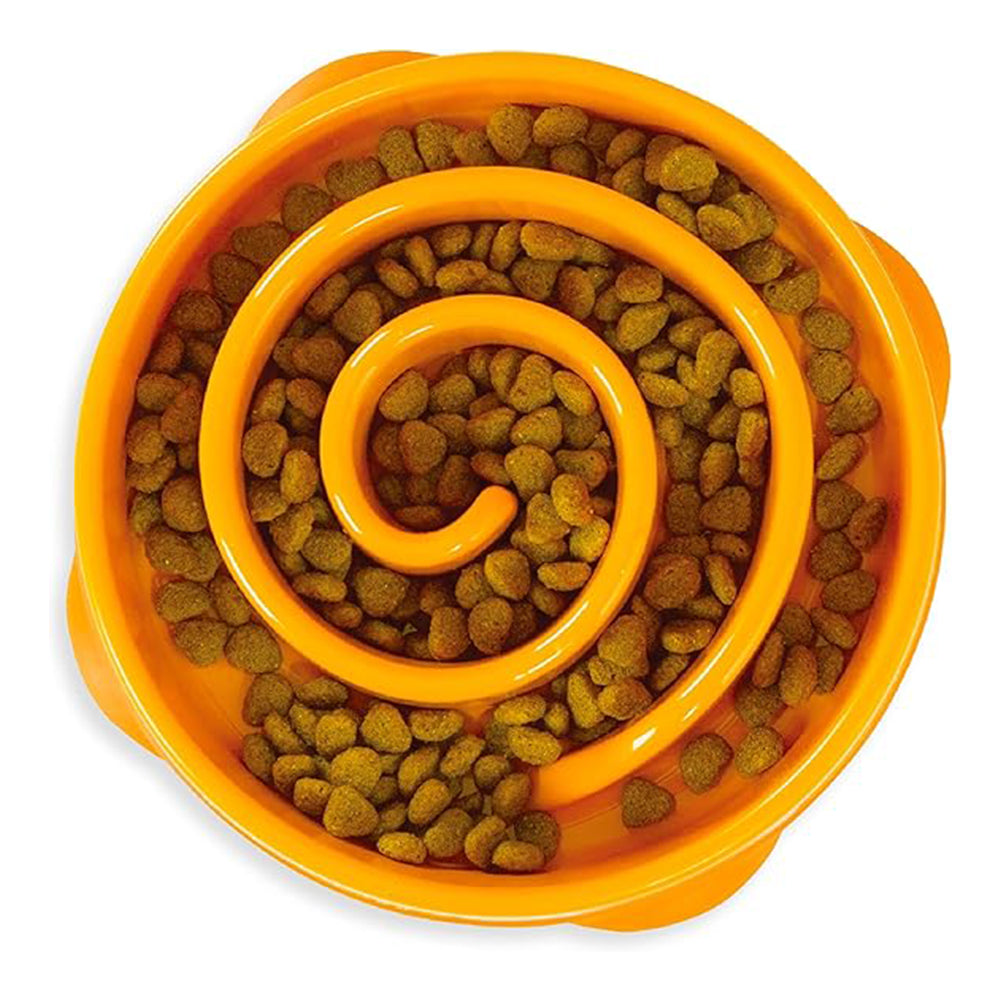 Outward Hound – Fun Feeder Slo Bowl – Mini