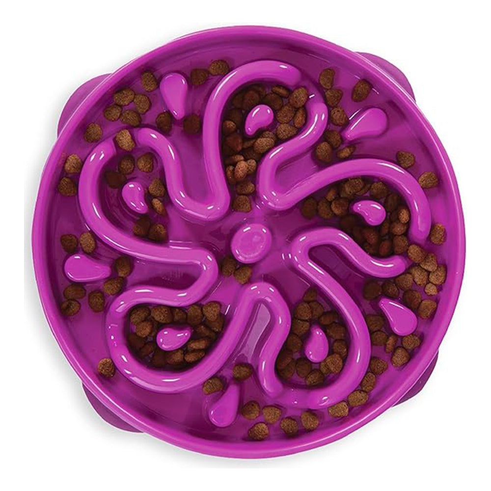 Outward Hound – Fun Feeder Slo Bowl – Regular