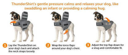 Three dogs wearing a ThunderShirt with instructions on how to use it.