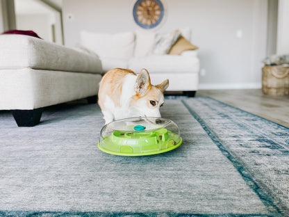 Outward Hound – Nina Ottosson – Dog Wobble Bowl (Level 1)